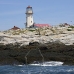 lighthouse_island_seal_machias_v_2242_can1360.jpg